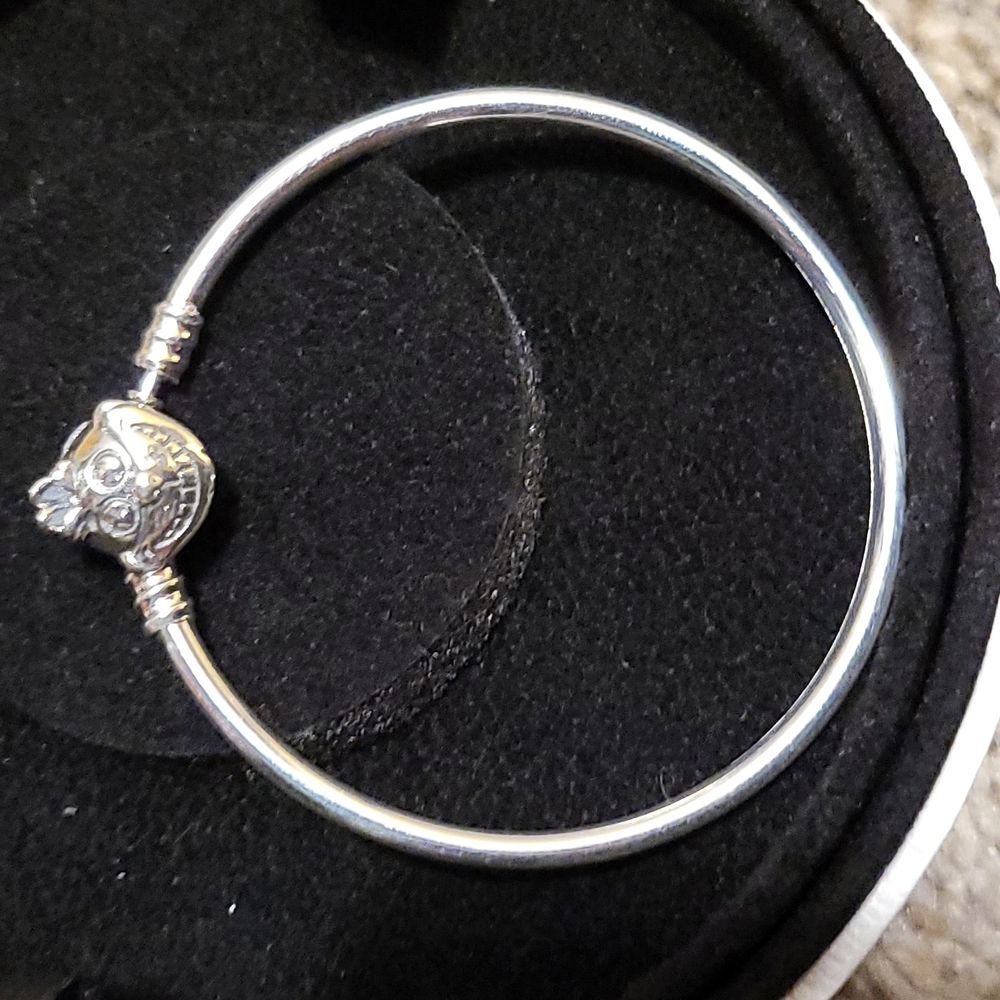 Alice in Wonderland/Aladin padora bracelet and charms.